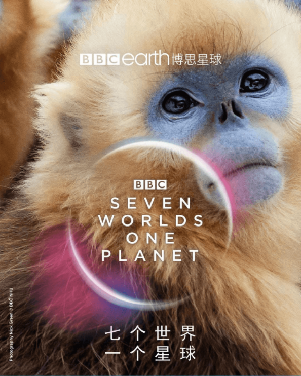 BBC纪录片《七个世界一个星球》国语1080P全集下载